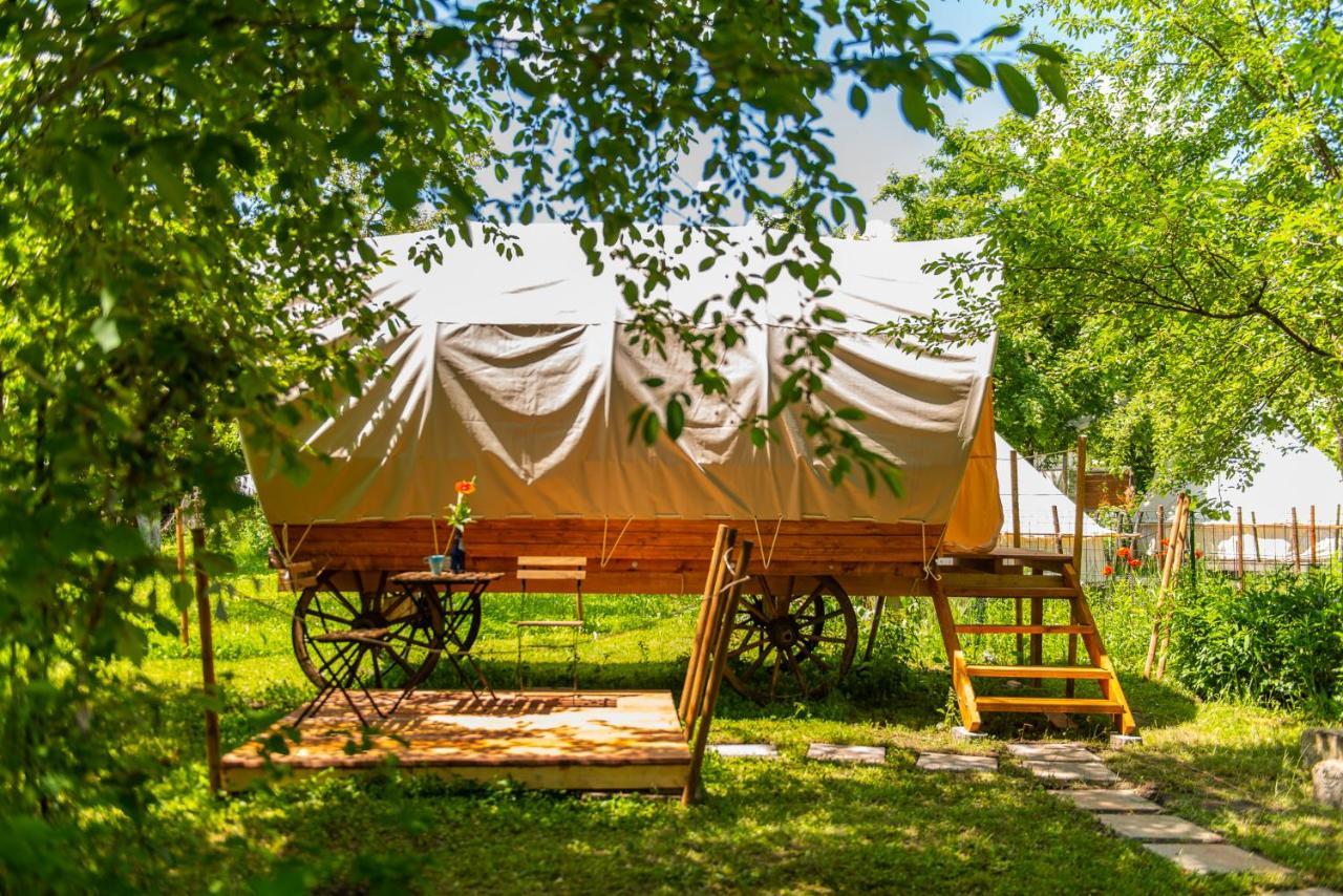 ホテル Dragonfly Gardens - The Wagons ブラショフ エクステリア 写真