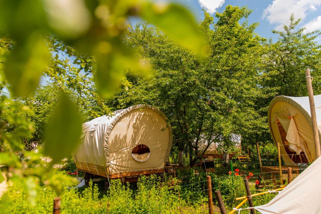 ホテル Dragonfly Gardens - The Wagons ブラショフ エクステリア 写真