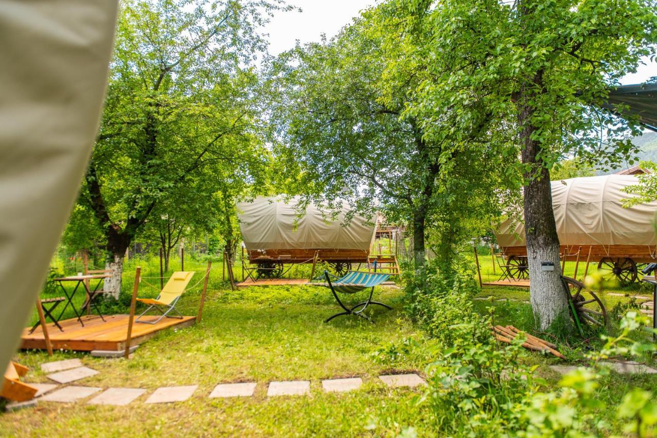 ホテル Dragonfly Gardens - The Wagons ブラショフ エクステリア 写真