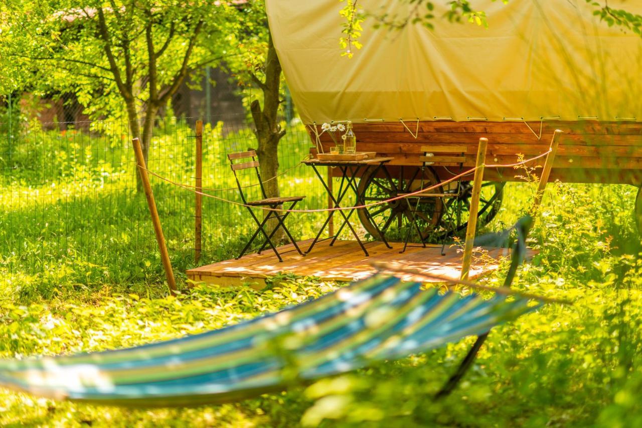 ホテル Dragonfly Gardens - The Wagons ブラショフ エクステリア 写真