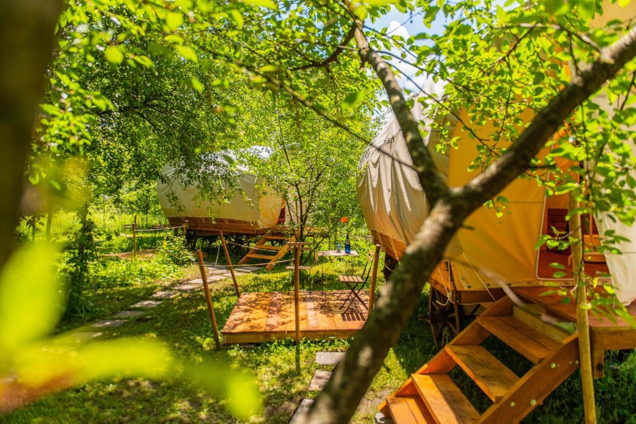 ホテル Dragonfly Gardens - The Wagons ブラショフ エクステリア 写真