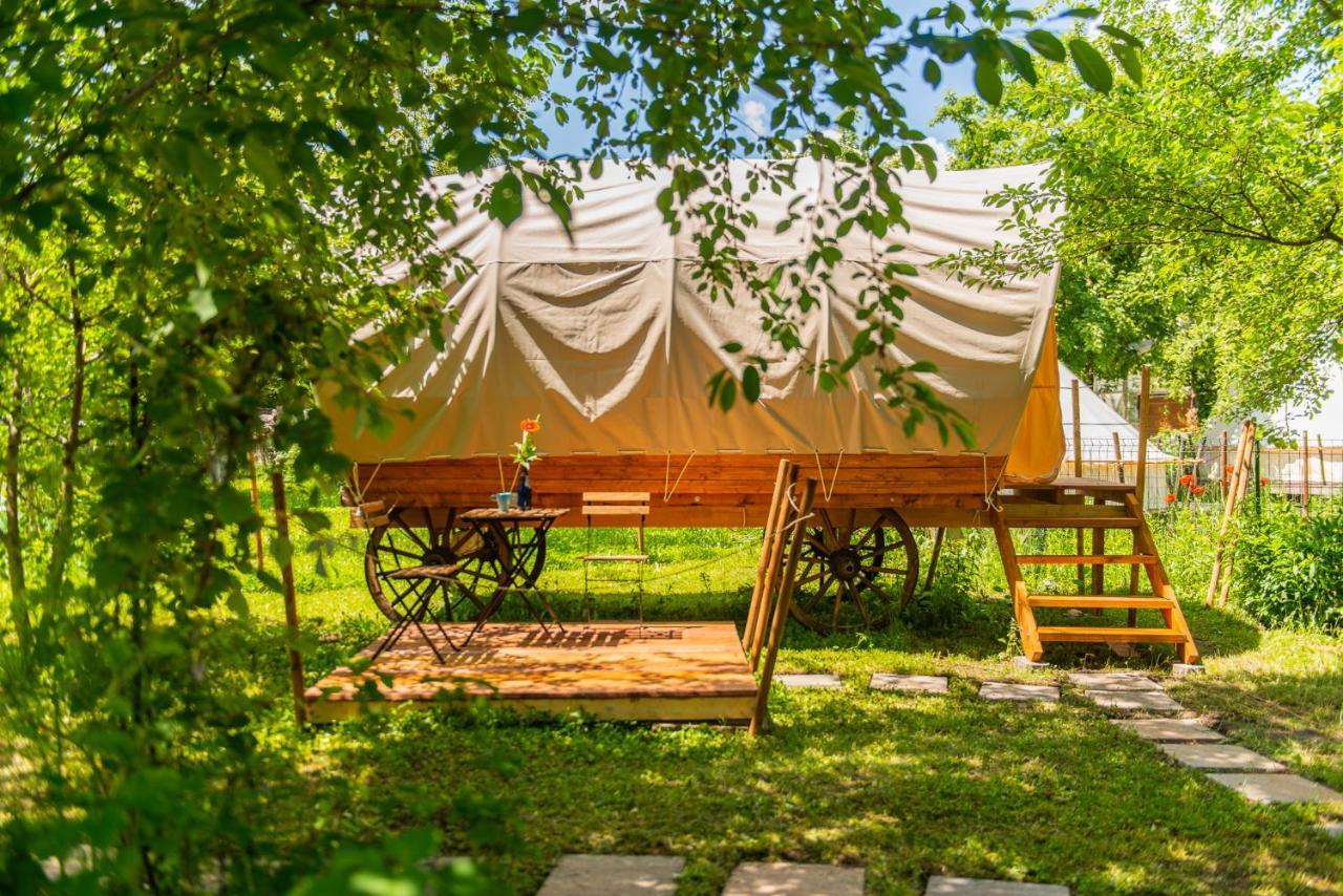 ホテル Dragonfly Gardens - The Wagons ブラショフ エクステリア 写真