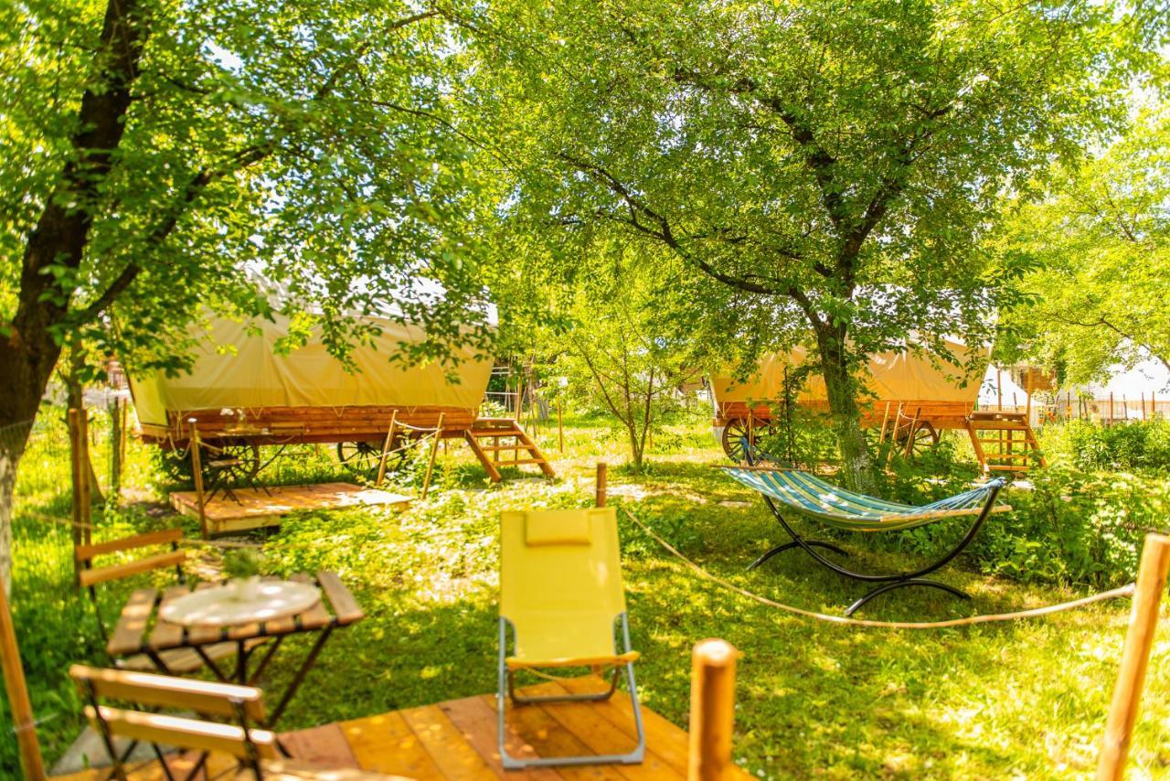 ホテル Dragonfly Gardens - The Wagons ブラショフ エクステリア 写真