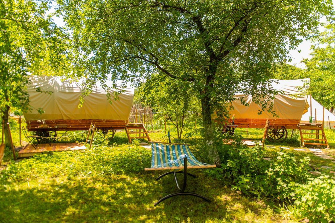 ホテル Dragonfly Gardens - The Wagons ブラショフ エクステリア 写真