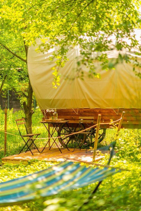 ホテル Dragonfly Gardens - The Wagons ブラショフ エクステリア 写真