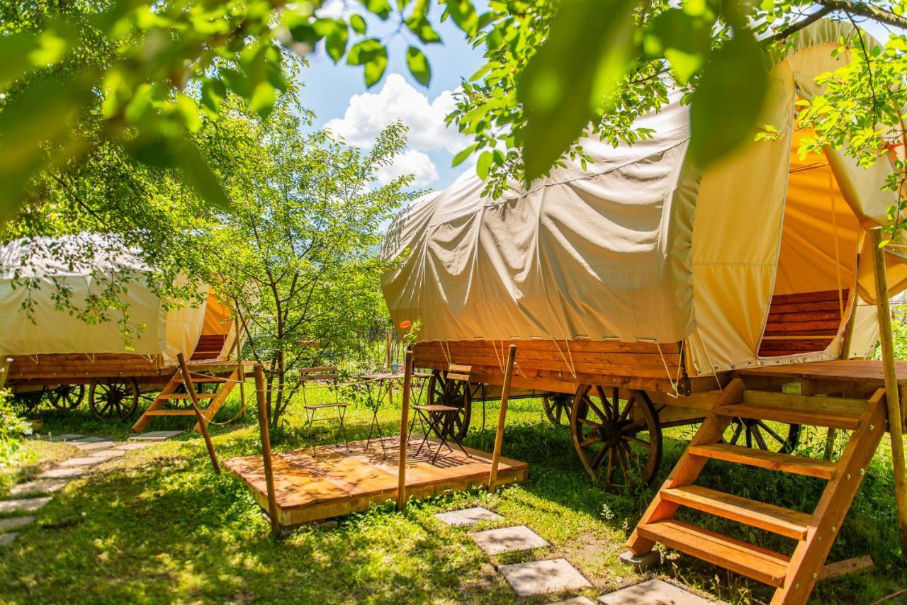 ホテル Dragonfly Gardens - The Wagons ブラショフ エクステリア 写真
