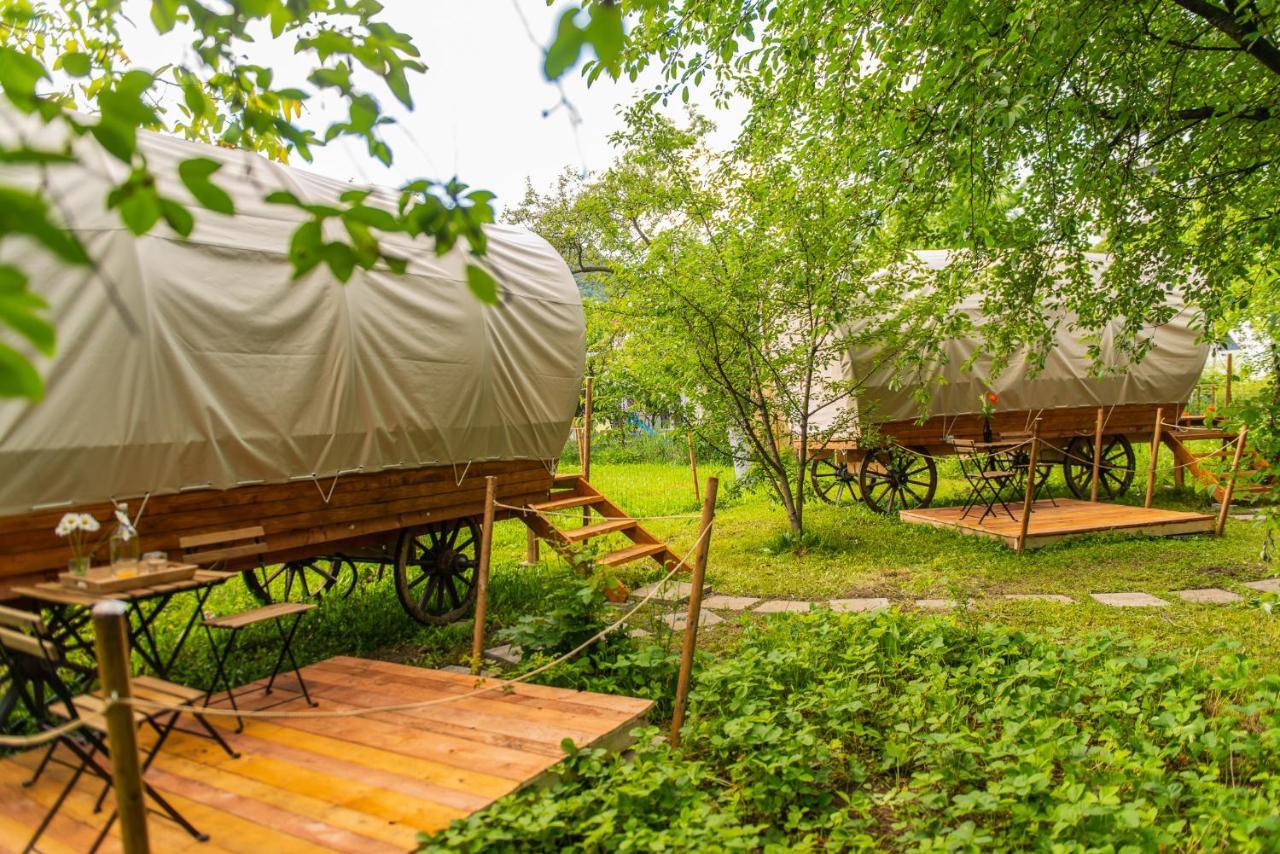 ホテル Dragonfly Gardens - The Wagons ブラショフ エクステリア 写真