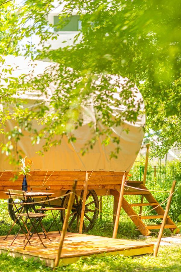 ホテル Dragonfly Gardens - The Wagons ブラショフ エクステリア 写真