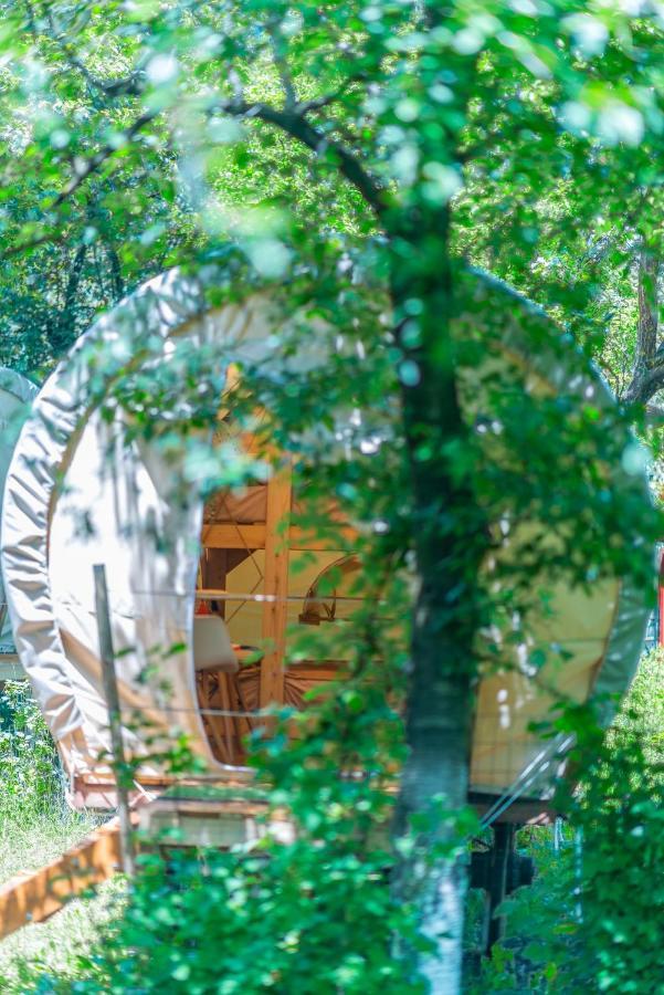 ホテル Dragonfly Gardens - The Wagons ブラショフ エクステリア 写真