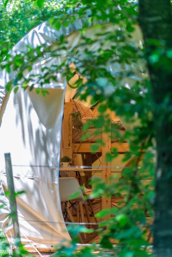 ホテル Dragonfly Gardens - The Wagons ブラショフ エクステリア 写真