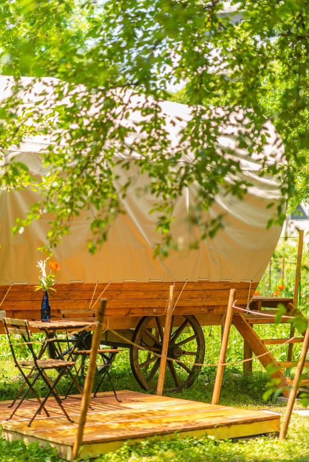 ホテル Dragonfly Gardens - The Wagons ブラショフ エクステリア 写真