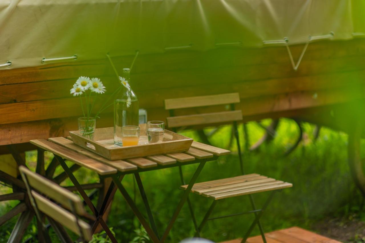 ホテル Dragonfly Gardens - The Wagons ブラショフ エクステリア 写真