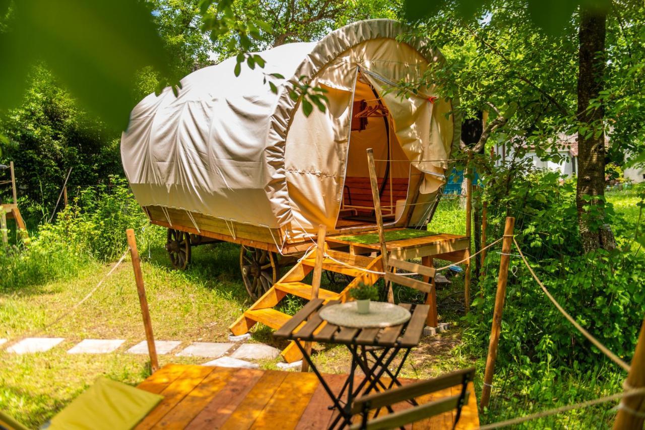 ホテル Dragonfly Gardens - The Wagons ブラショフ エクステリア 写真