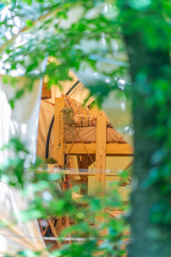 ホテル Dragonfly Gardens - The Wagons ブラショフ エクステリア 写真