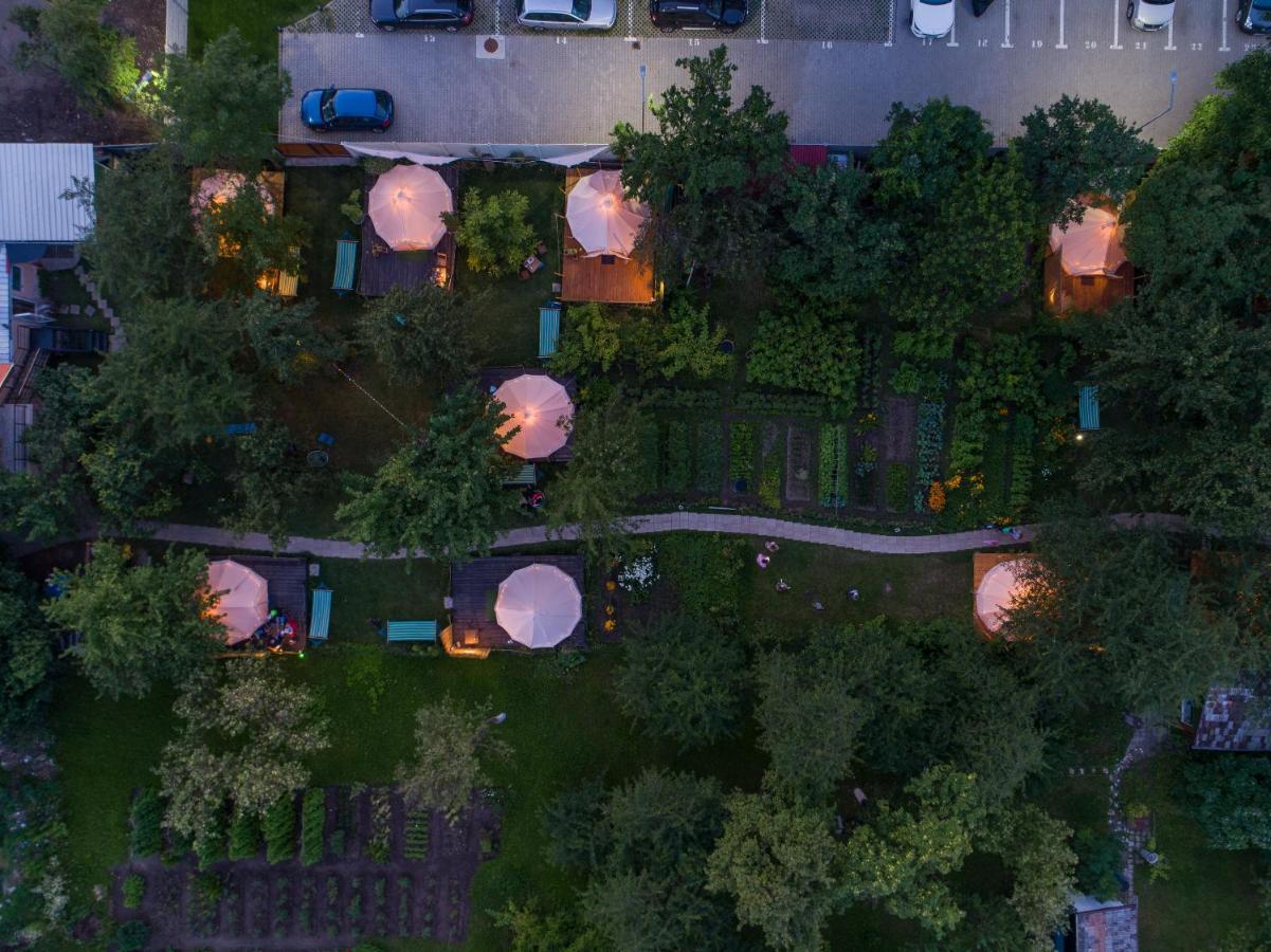 ホテル Dragonfly Gardens - The Wagons ブラショフ エクステリア 写真