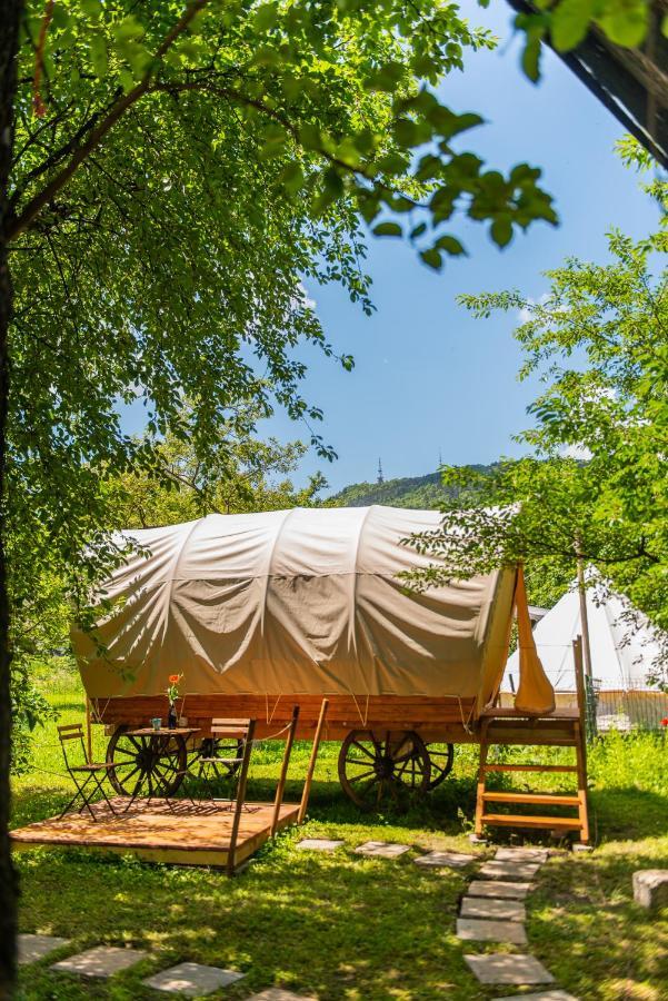 ホテル Dragonfly Gardens - The Wagons ブラショフ エクステリア 写真